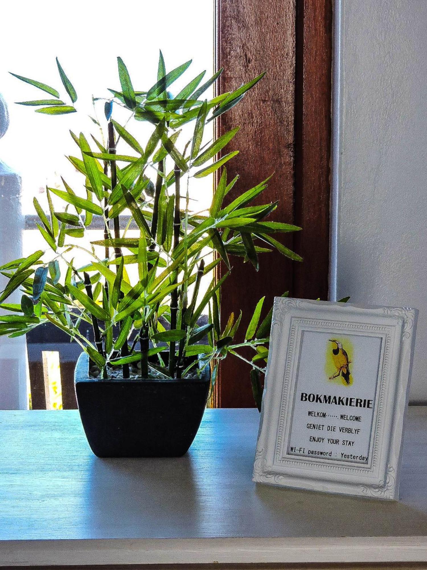 Amzee Bokmakierie Guest House Dana Bay Экстерьер фото